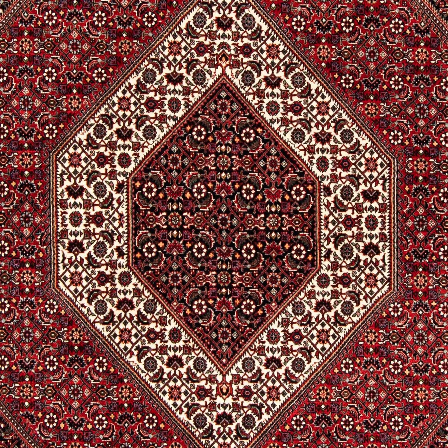 Perserteppich - Bidjar 240 x 172 cm