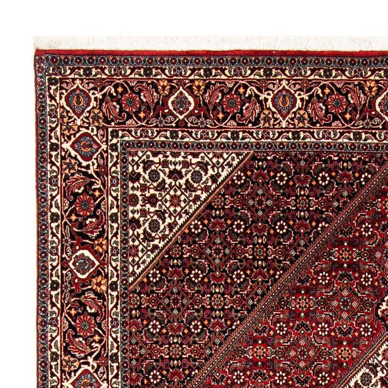 Perserteppich - Bidjar 240 x 172 cm