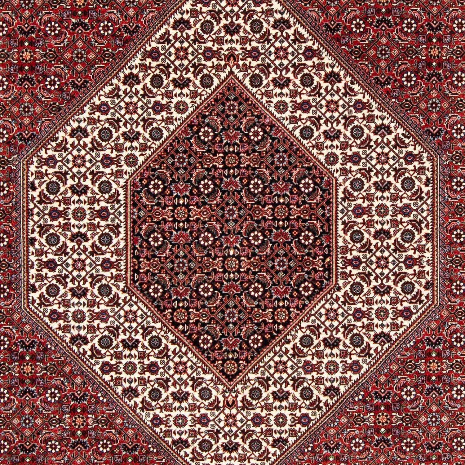 Perserteppich - Bidjar 249 x 174 cm