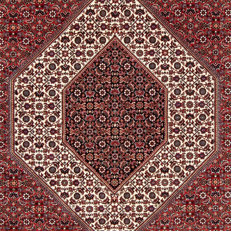 Perserteppich - Bidjar 249 x 174 cm