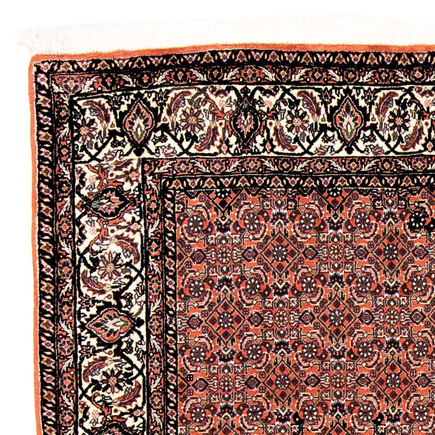 Bidjar Teppich 250x173cm - Perserteppich