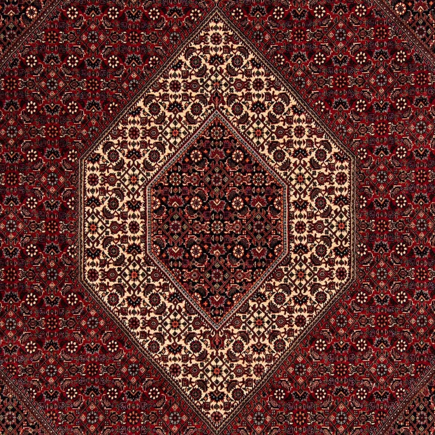 Perserteppich - Bidjar 247 x 202 cm