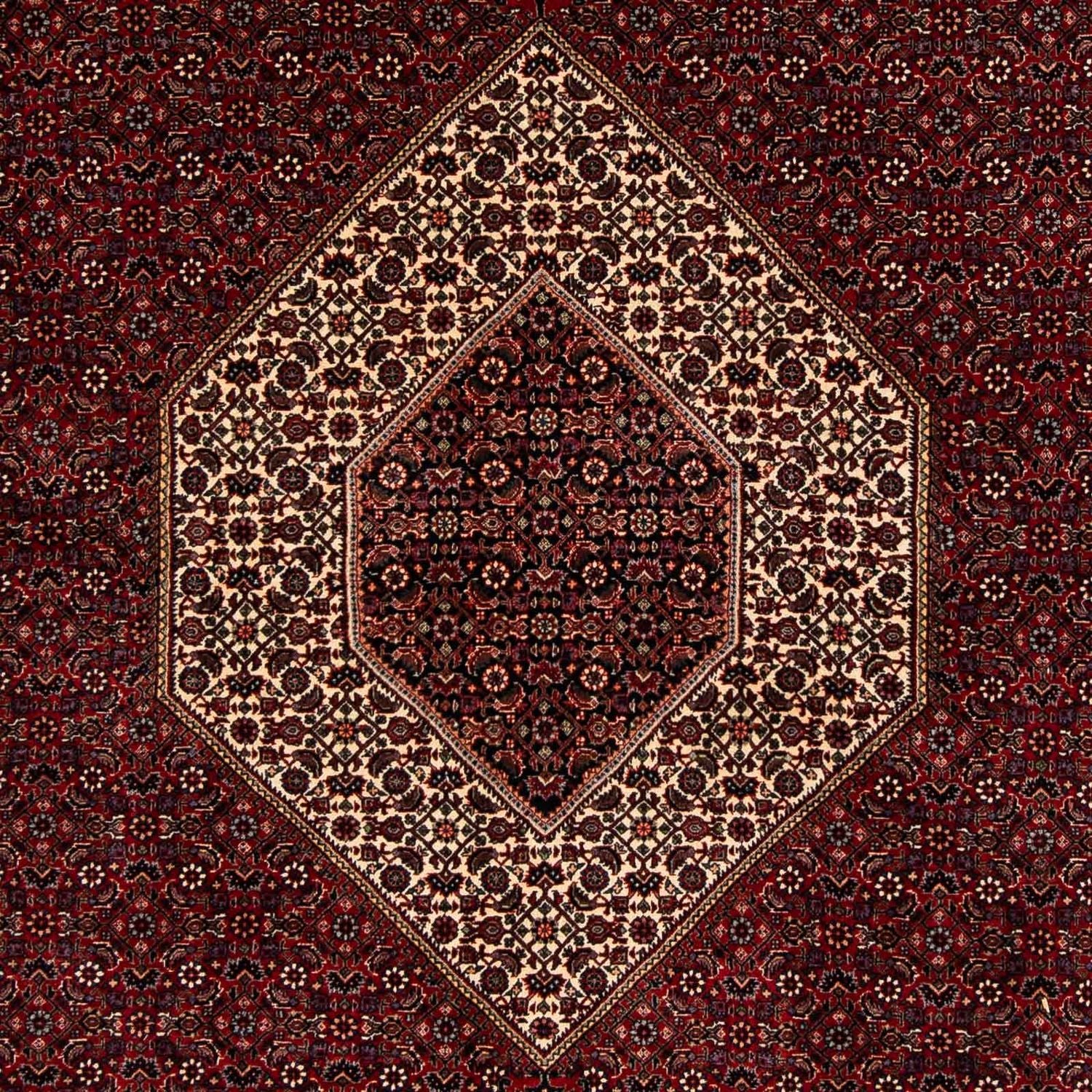 Perserteppich - Bidjar 257 x 204 cm