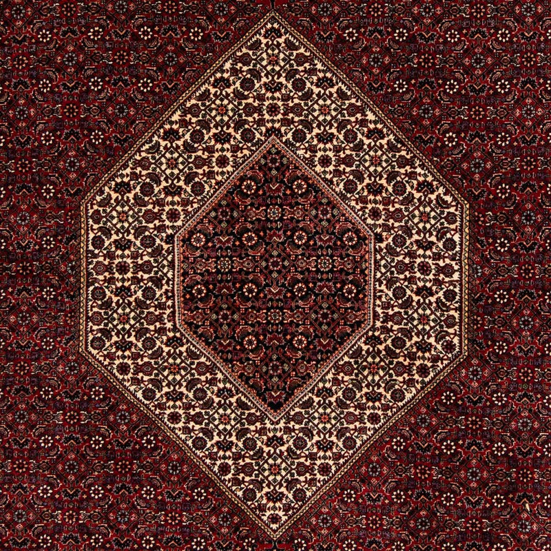 Perserteppich - Bidjar 257 x 204 cm