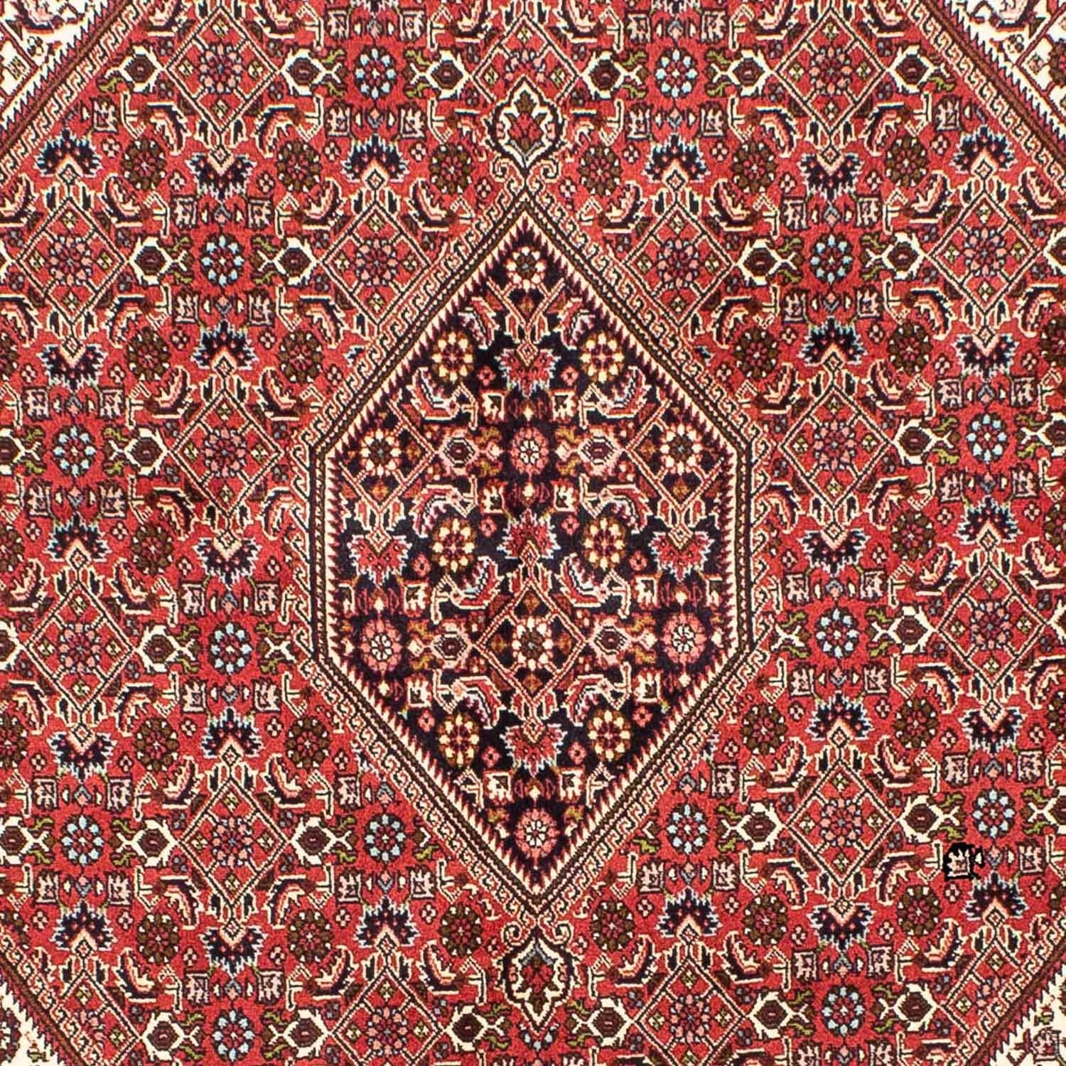Perserteppich - Bidjar 245 x 172 cm