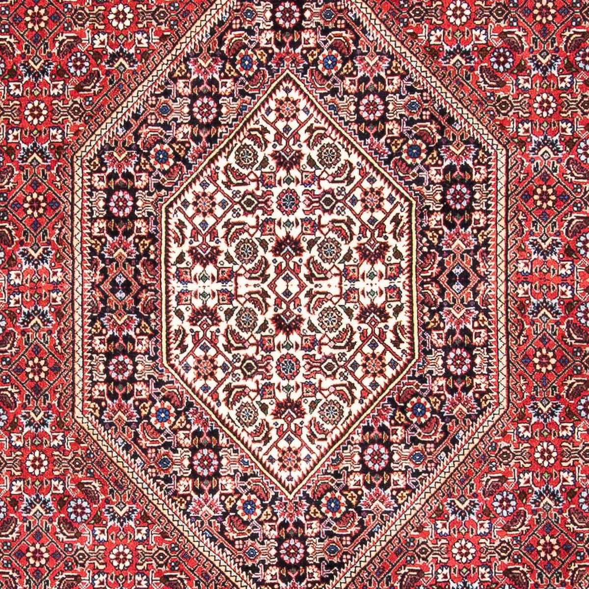 Perserteppich - Bidjar - Royal 175 x 110 cm - rot