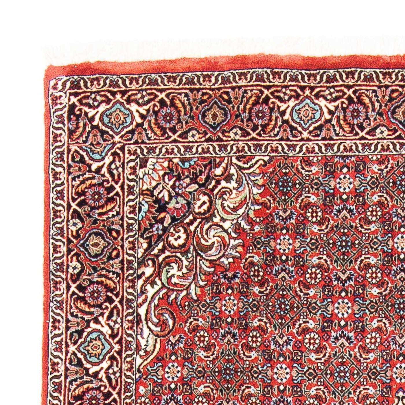 Bidjar Teppich 169x112cm - Perserteppich