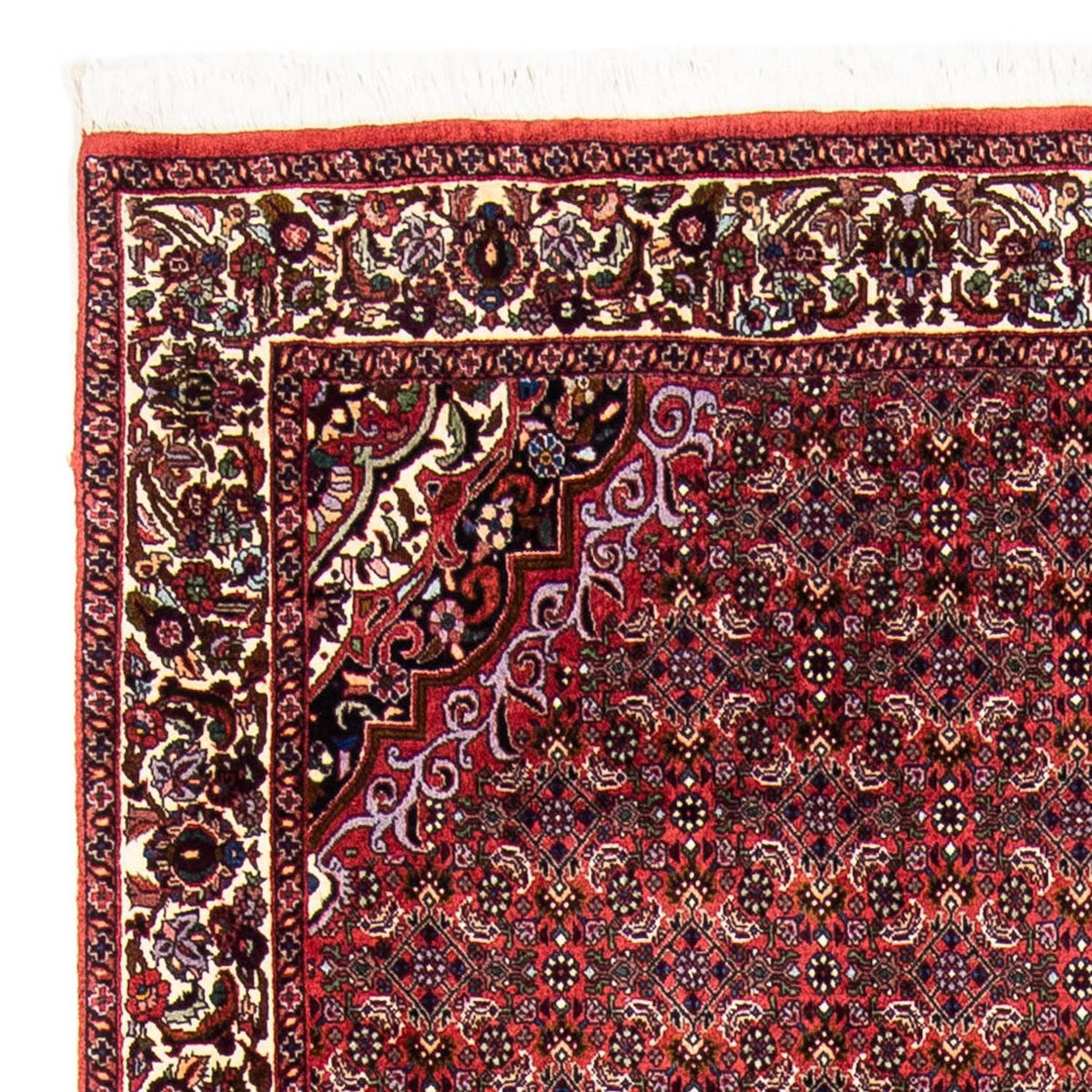 Bidjar Teppich 172x241cm - Perserteppich