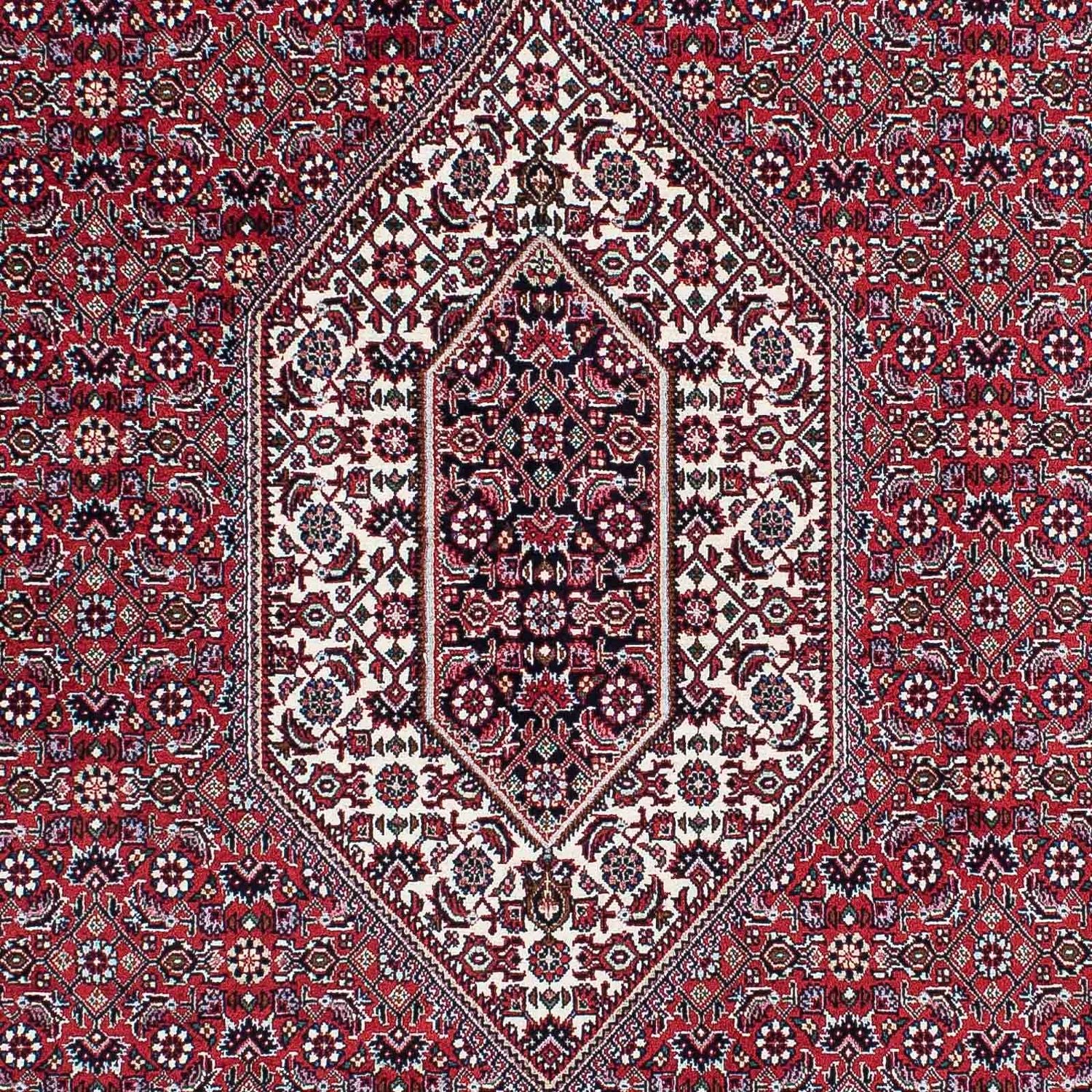 Perserteppich - Bidjar - Royal 228 x 132 cm