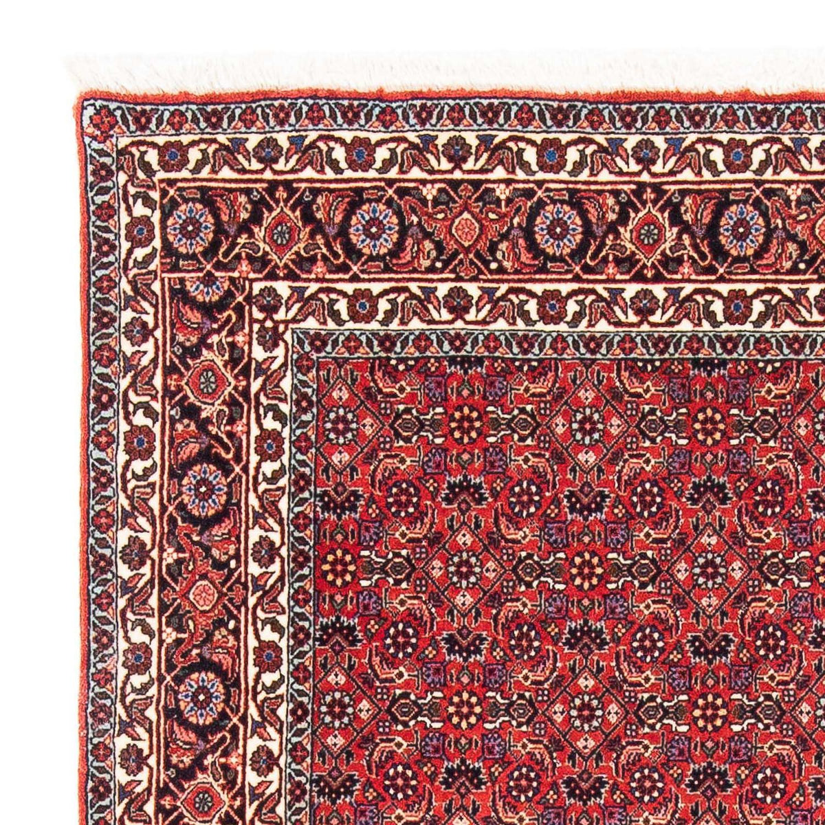 Bidjar Teppich 124x126cm - Perserteppich