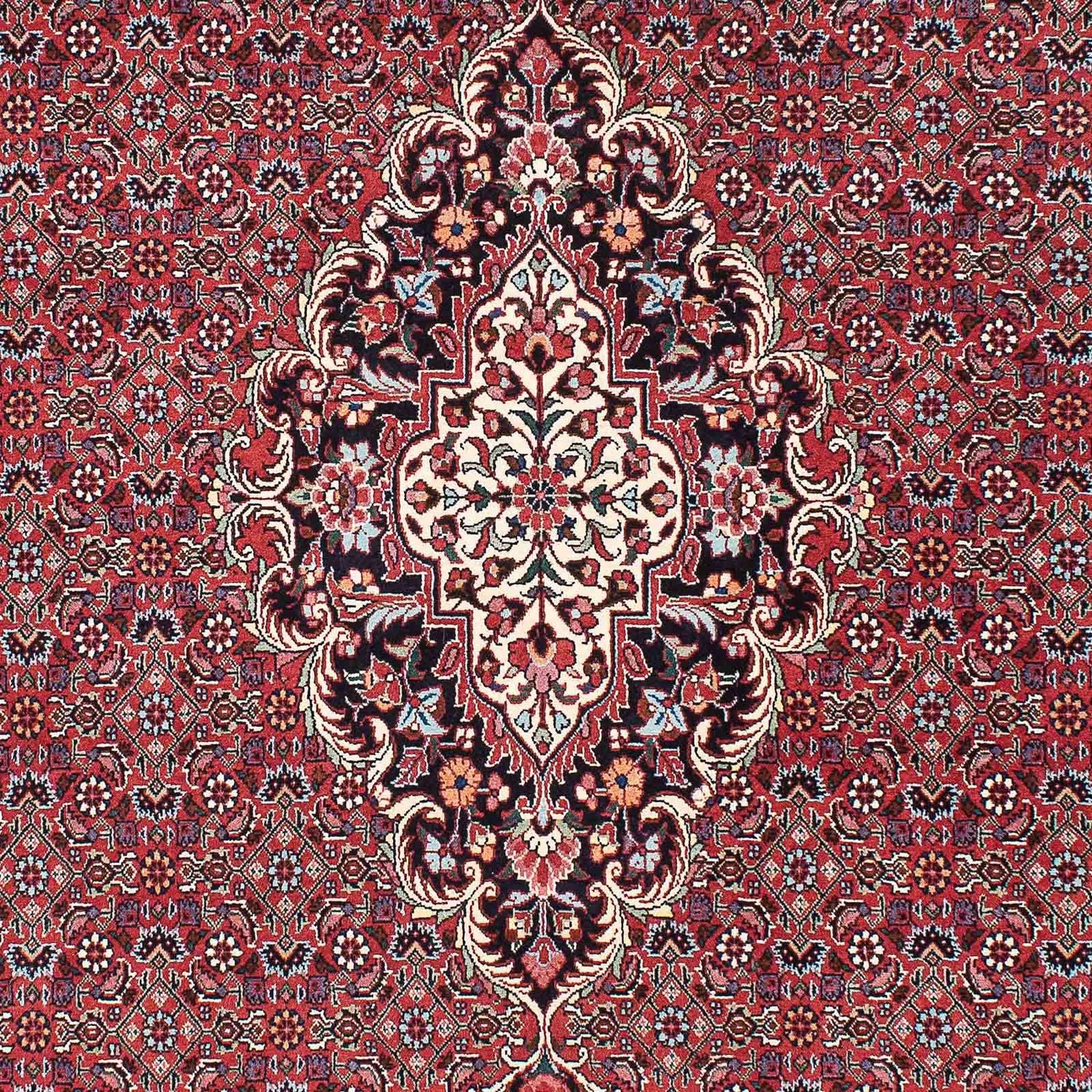 Perserteppich - Bidjar - Royal 220 x 153 cm