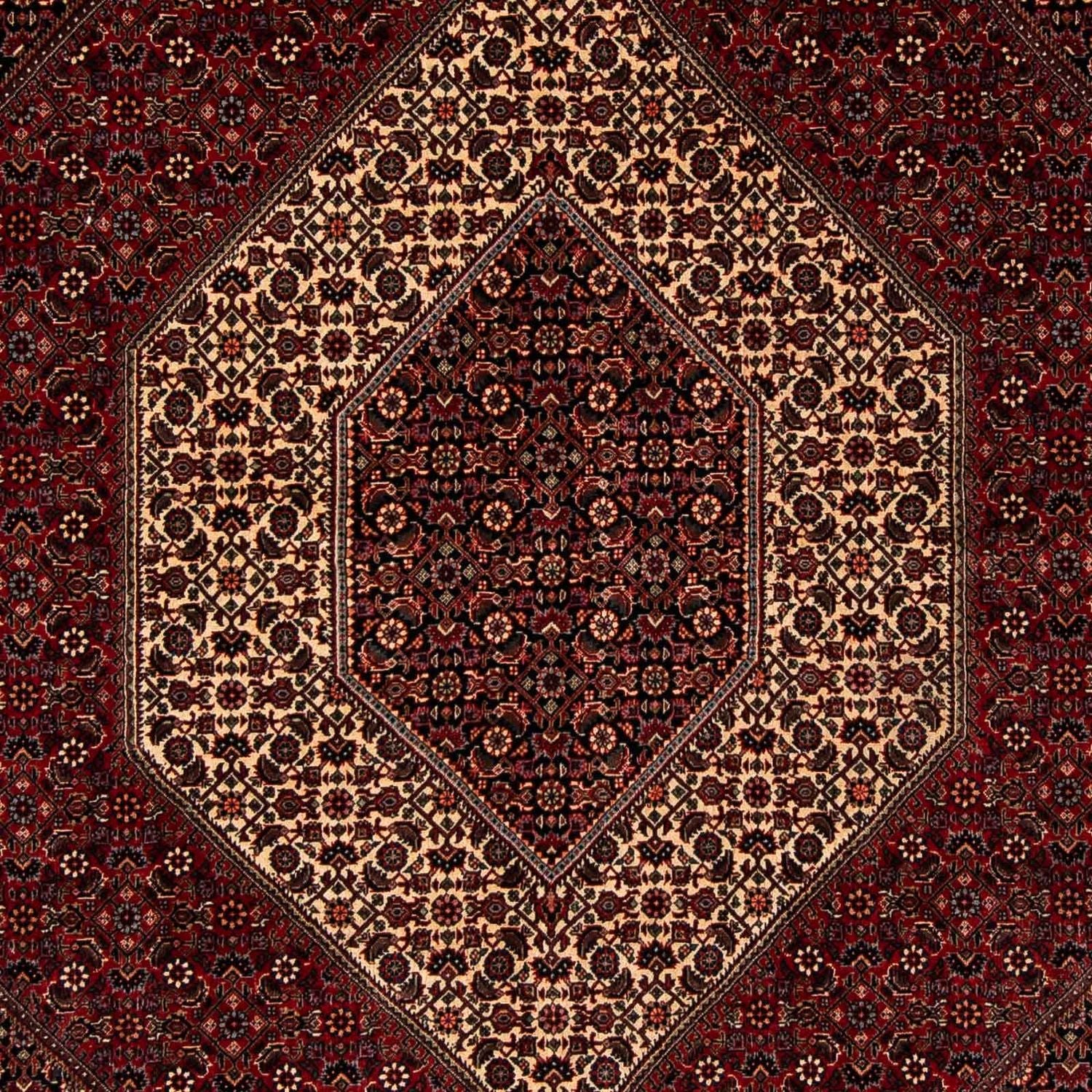 Perserteppich - Bidjar 255 x 202 cm