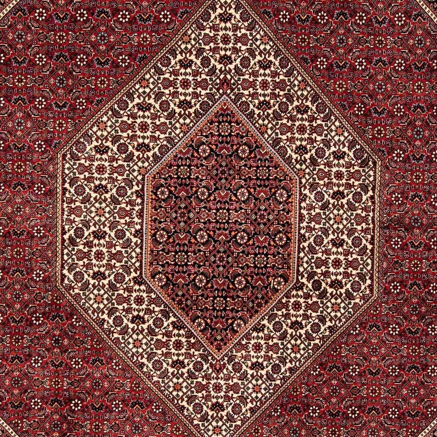 Perserteppich - Bidjar 252 x 205 cm