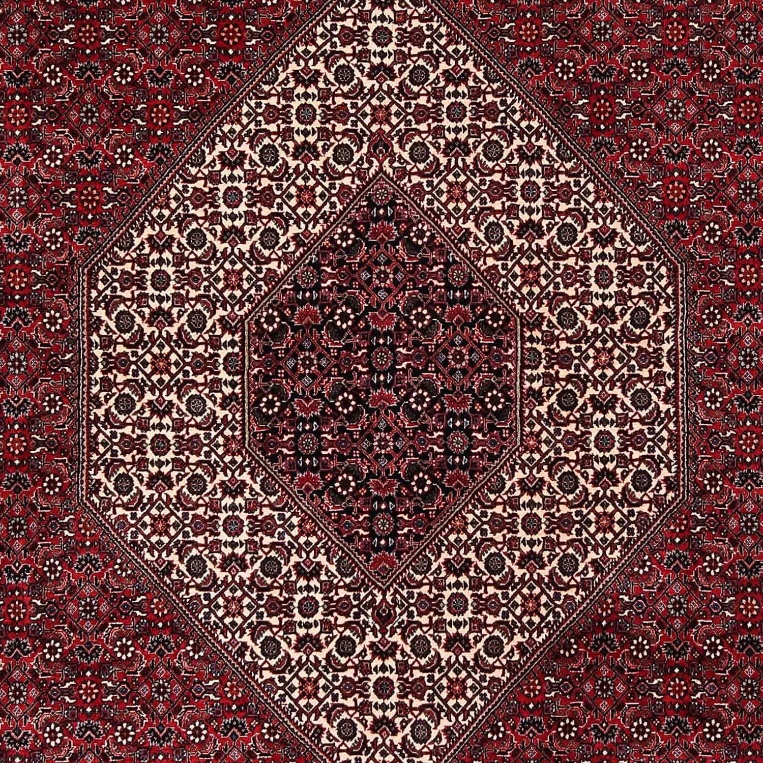Perserteppich - Bidjar 252 x 203 cm