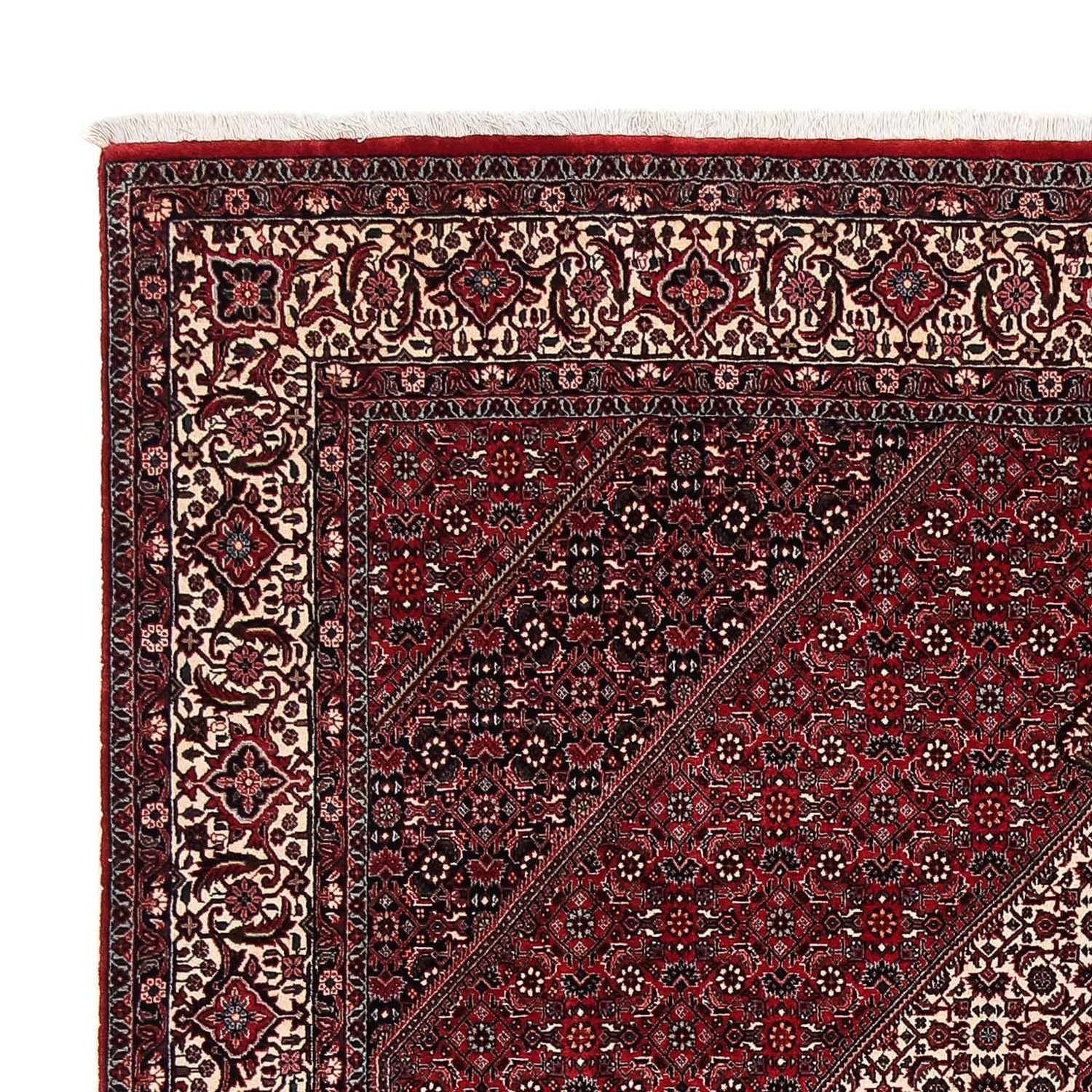 Perserteppich - Bidjar 252 x 203 cm