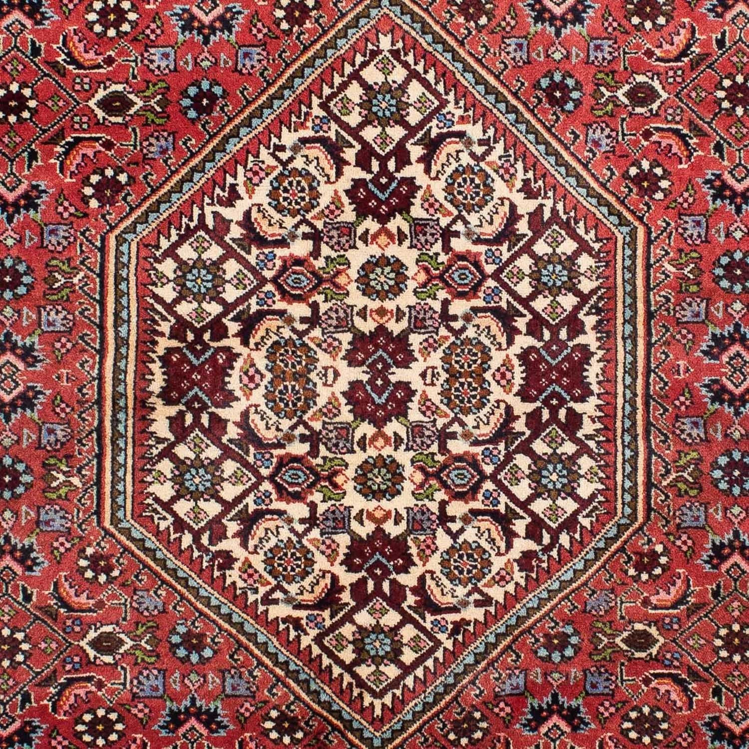 Perserteppich - Bidjar 242 x 135 cm