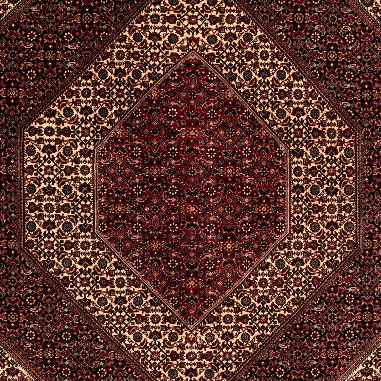 Perserteppich - Bidjar 262 x 203 cm