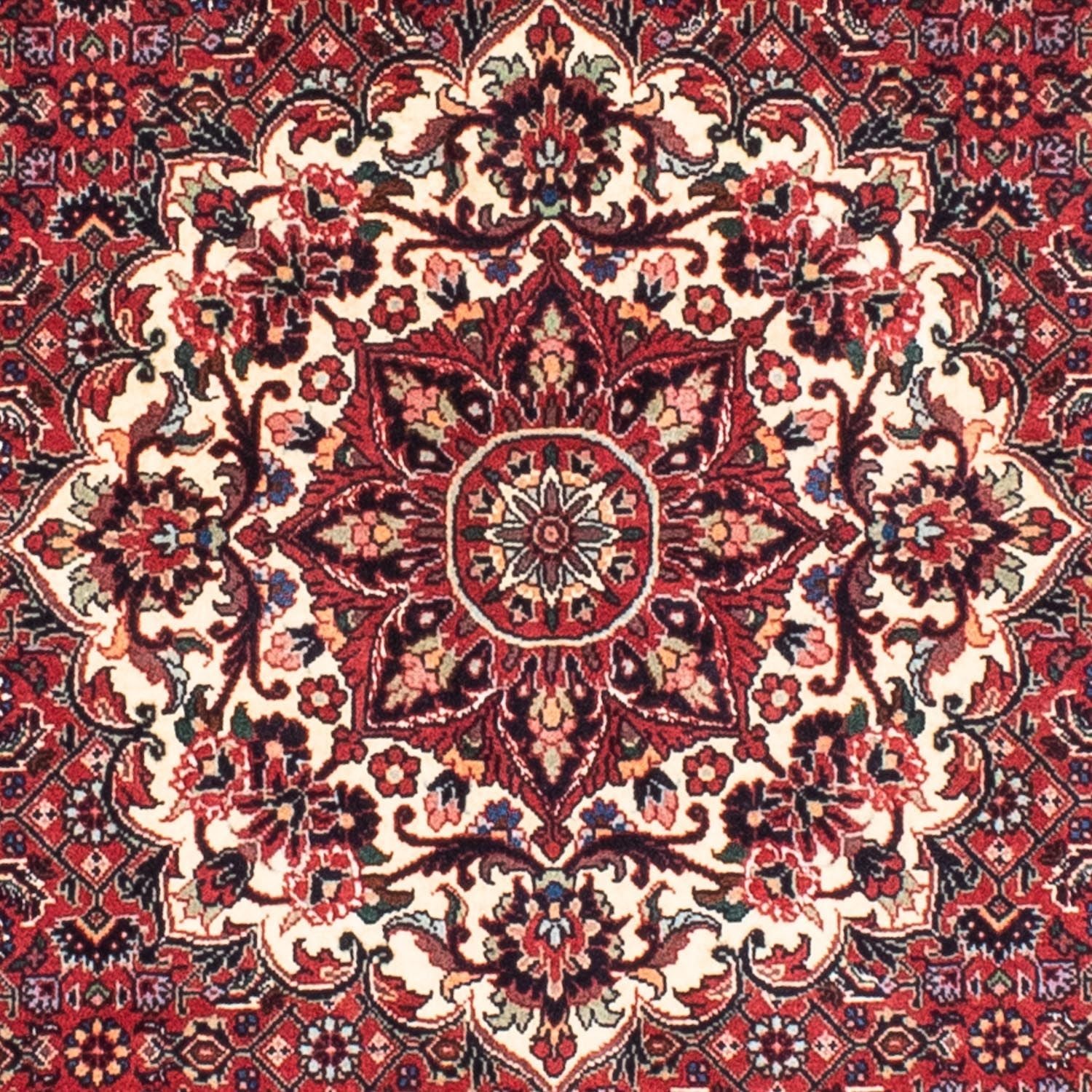 Perserteppich - Bidjar 155 x 155 cm