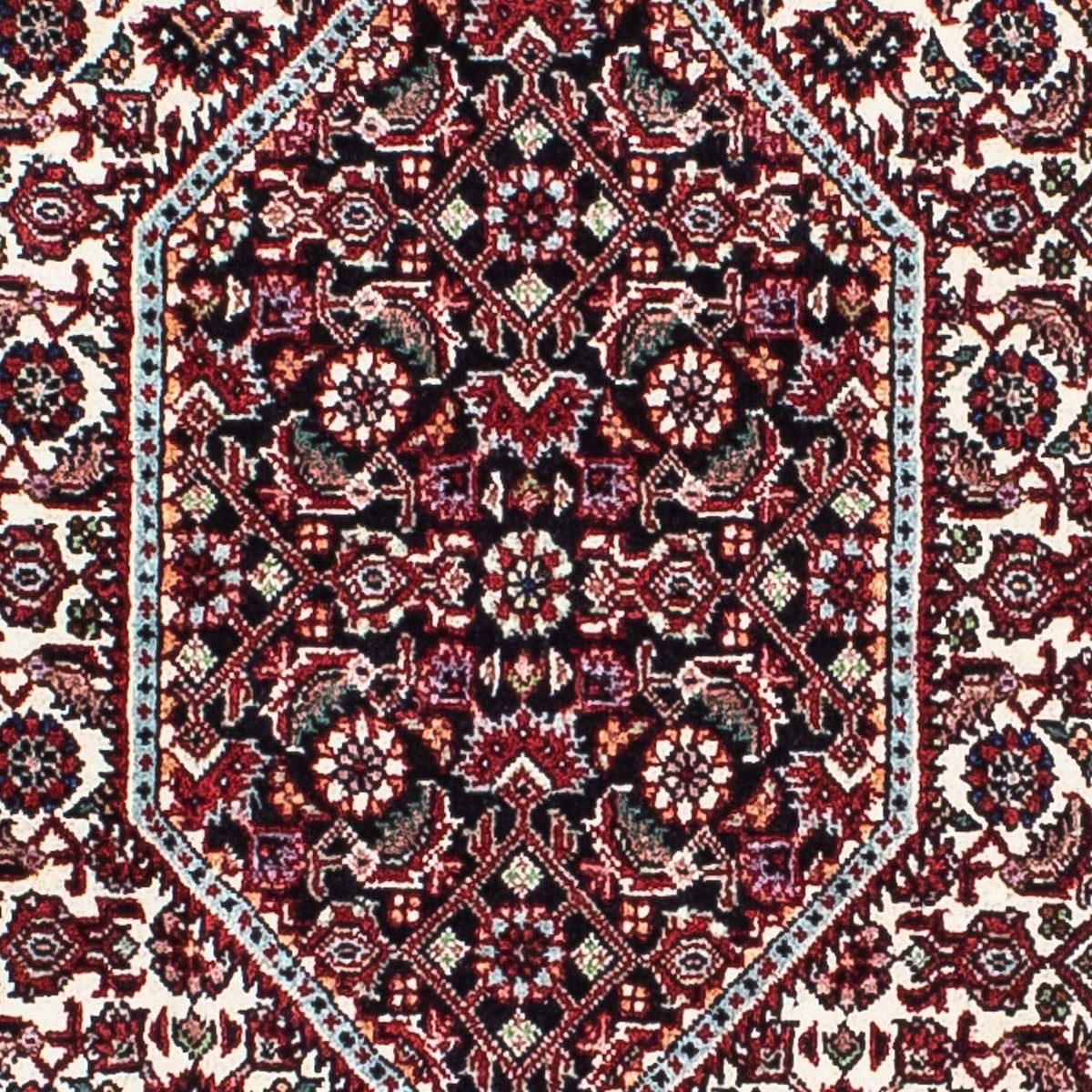 Perserteppich - Bidjar - Royal 209 x 132 cm - hellrot