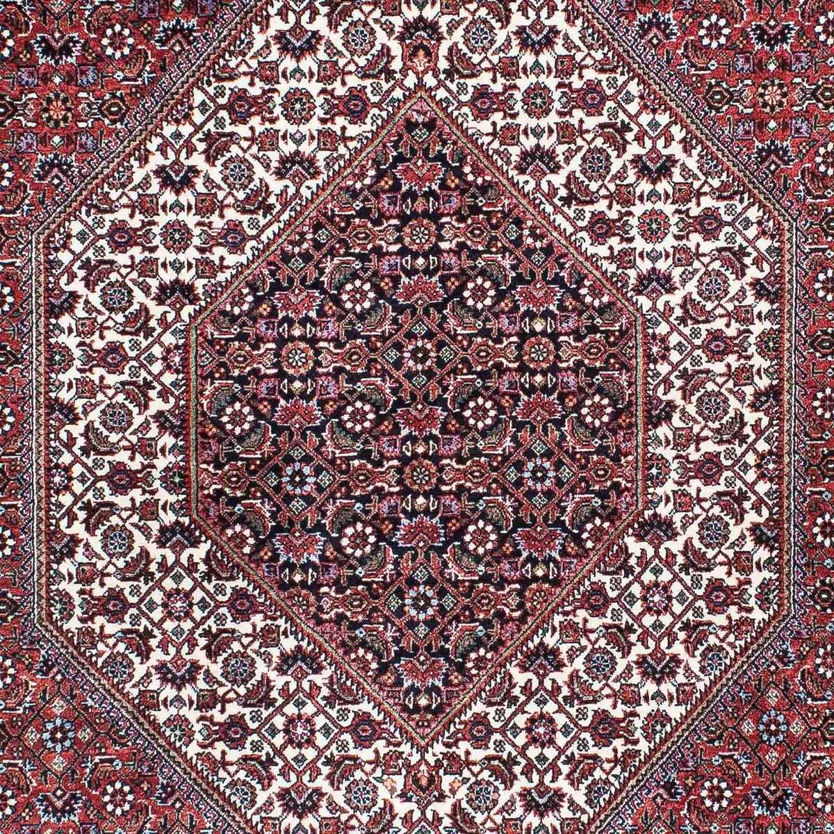 Perserteppich - Bidjar - Royal 214 x 131 cm - hellrot