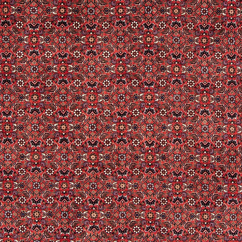 Perserteppich - Bidjar 243 x 173 cm