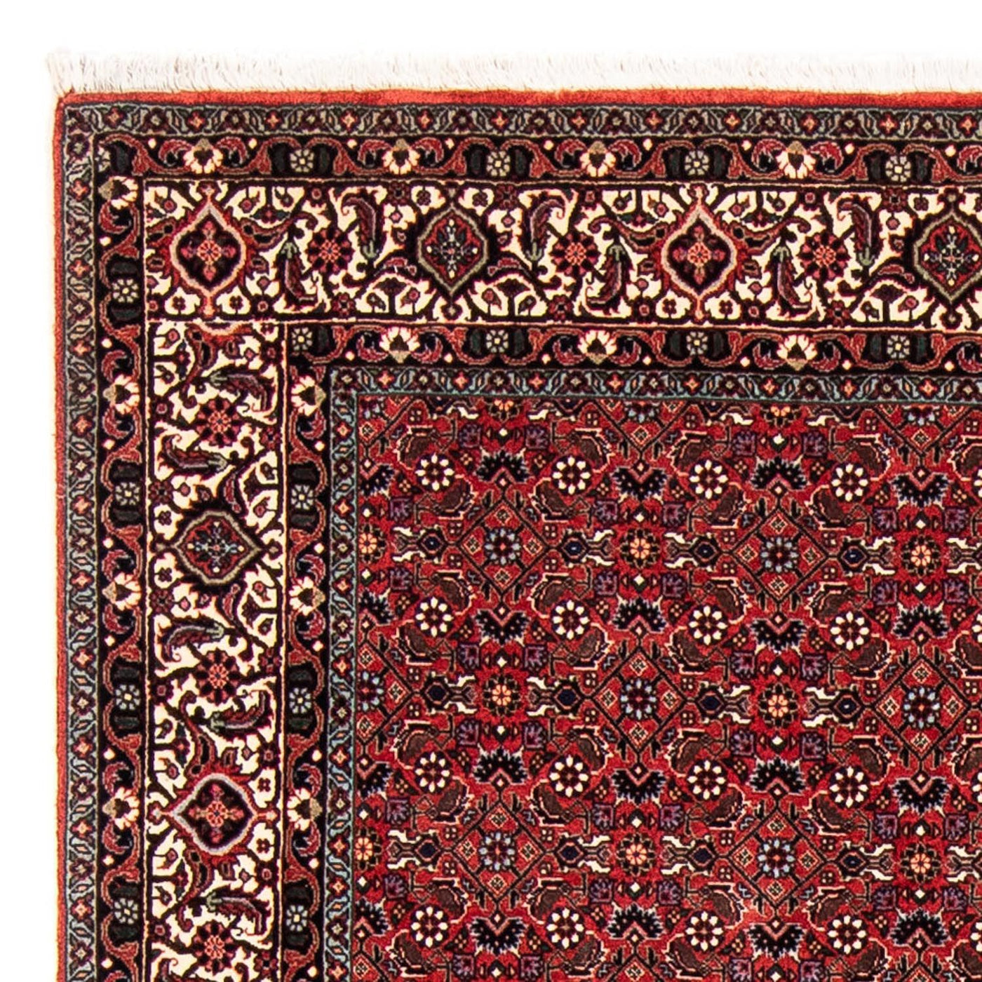 Bidjar Teppich 243x173cm - Perserteppich