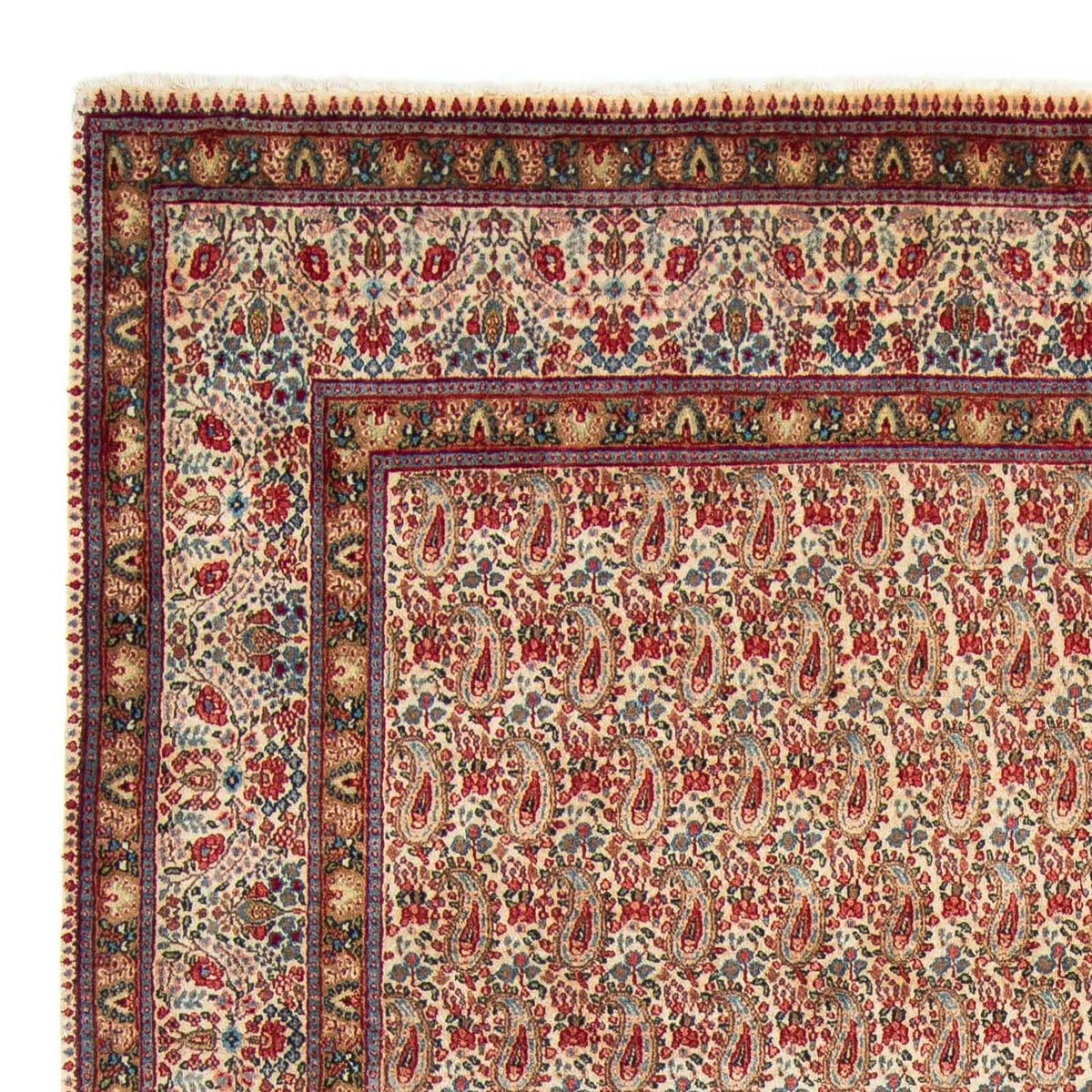 Rafsanjan Teppich 205x307cm - Perserteppich