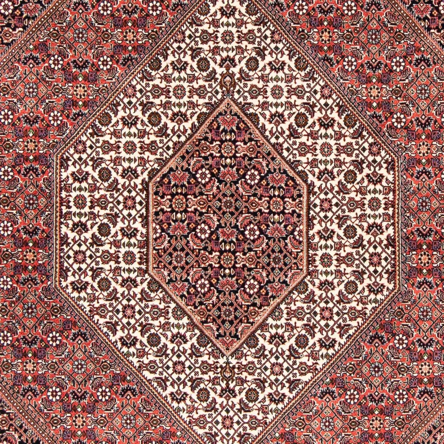 Perserteppich - Bidjar 227 x 171 cm