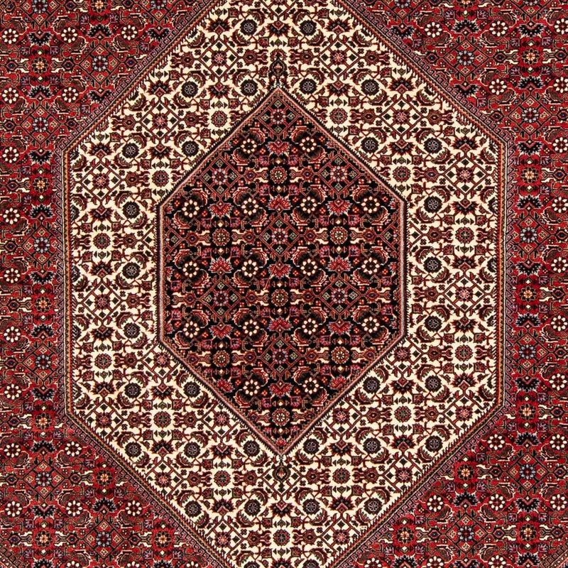 Perserteppich - Bidjar 238 x 175 cm