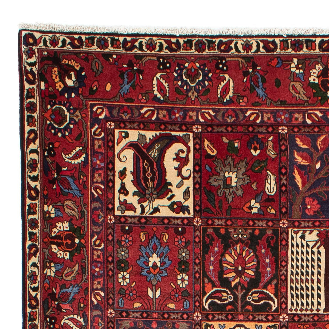 Bachtiar Teppich 310x210cm - Perserteppich