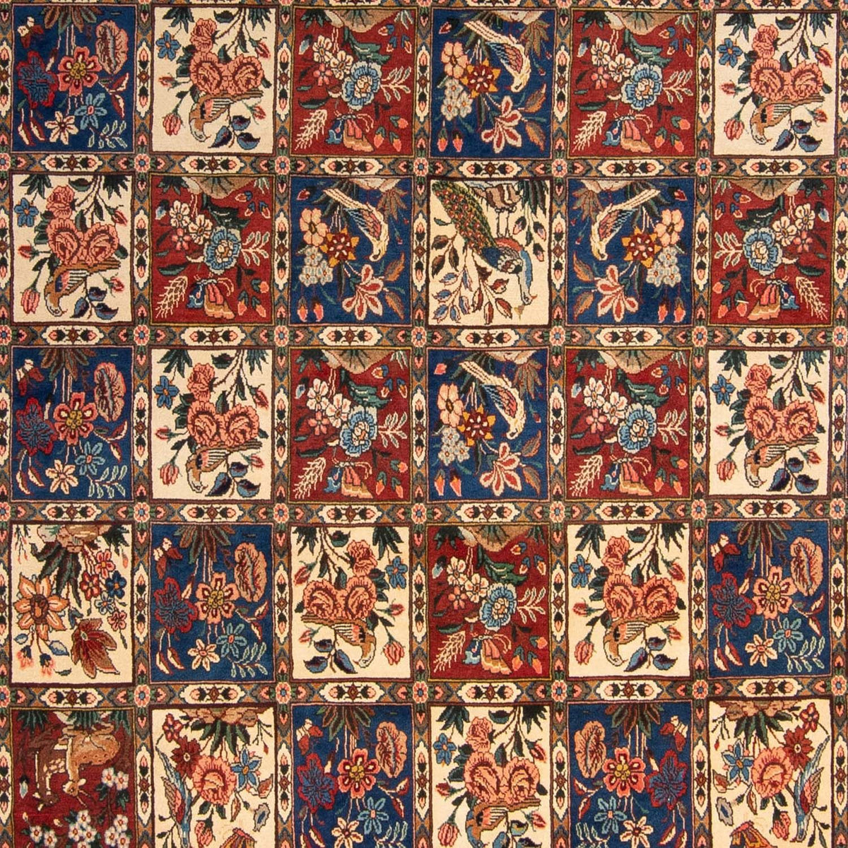 Perserteppich - Nomadic 350 x 244 cm