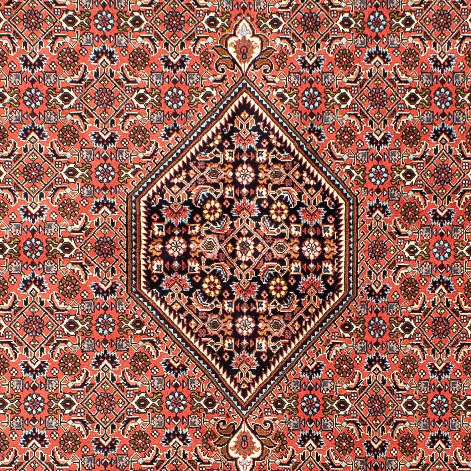 Perserteppich - Bidjar 255 x 170 cm