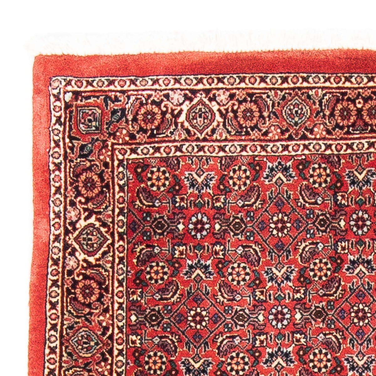 Bidjar Teppich 84x138cm - Perserteppich