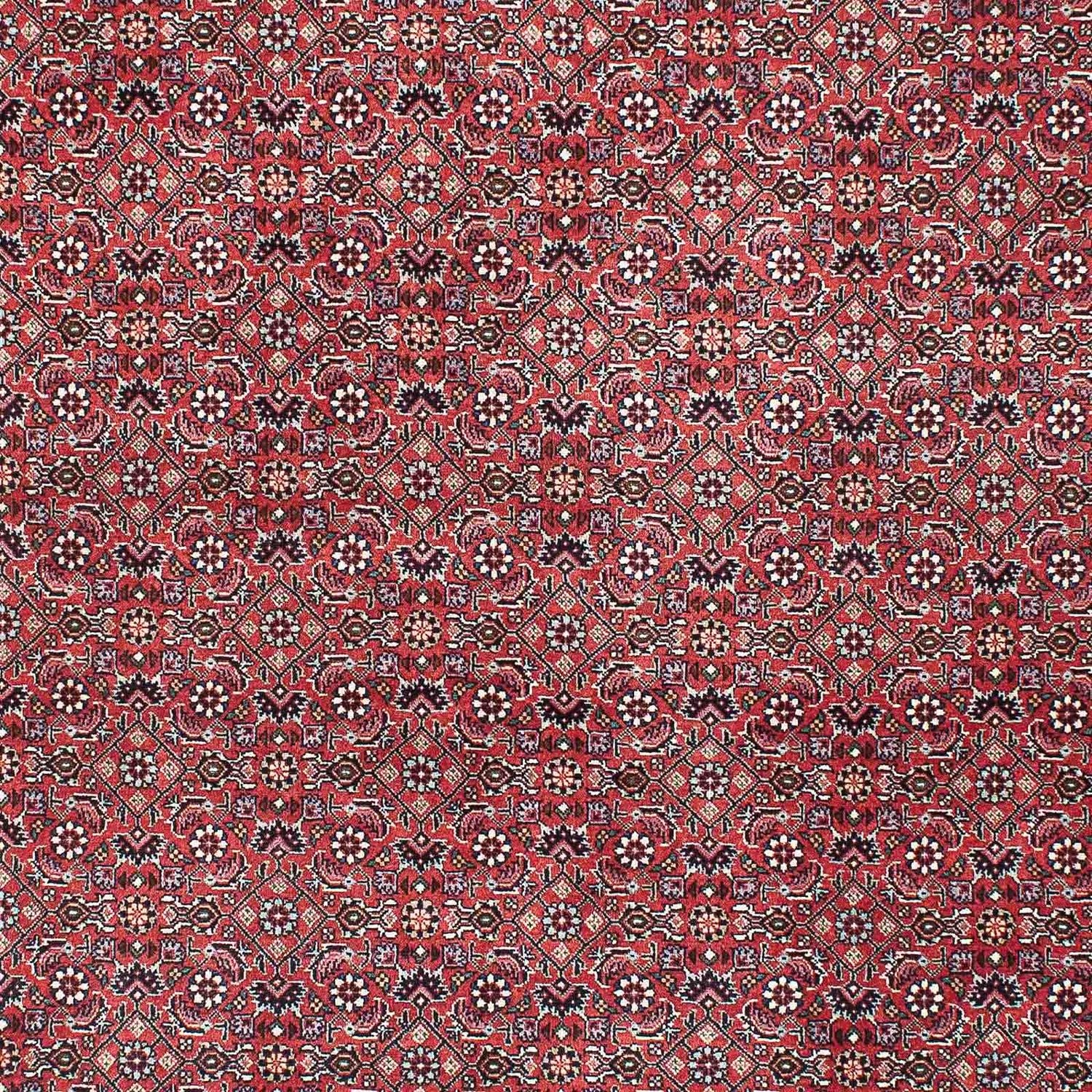 Perserteppich - Bidjar - Royal 208 x 132 cm