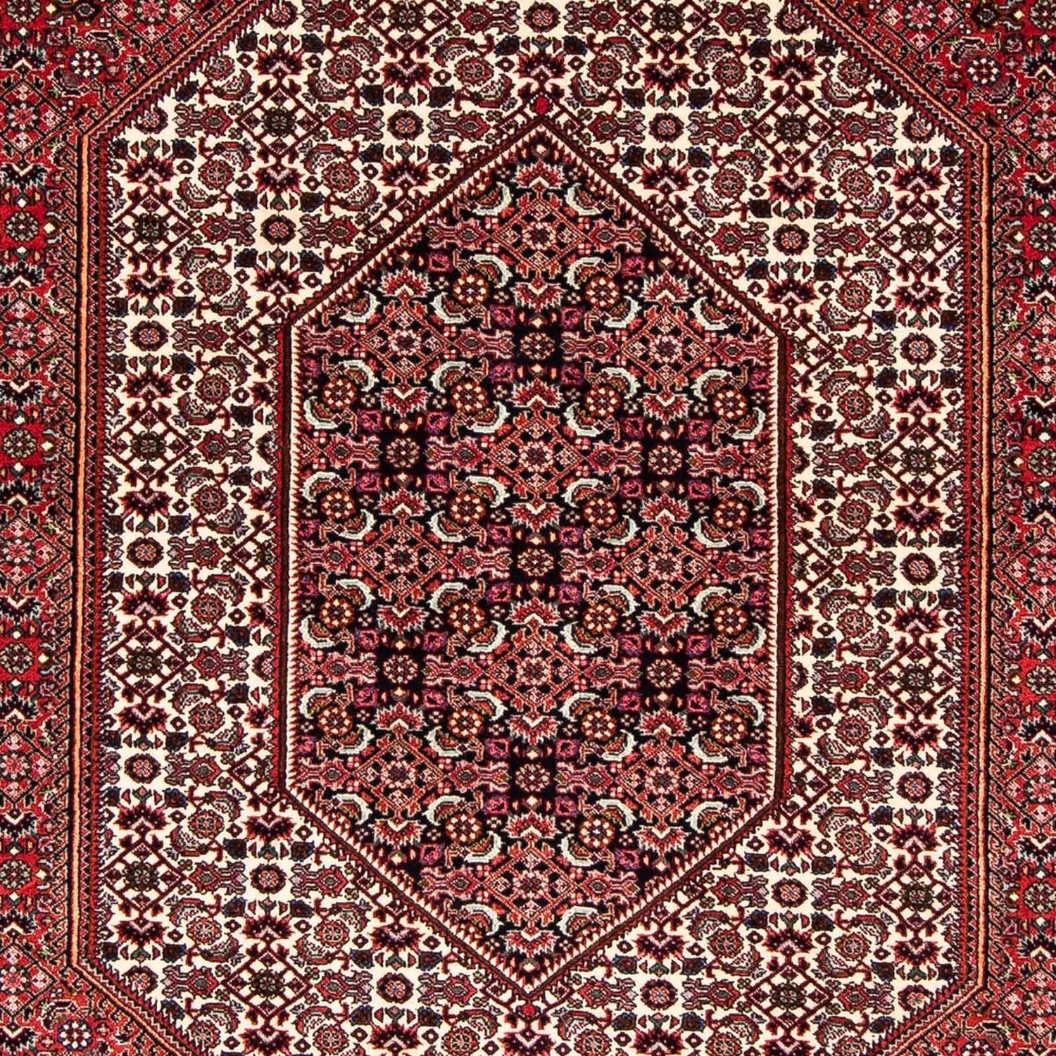 Perserteppich - Bidjar 255 x 153 cm