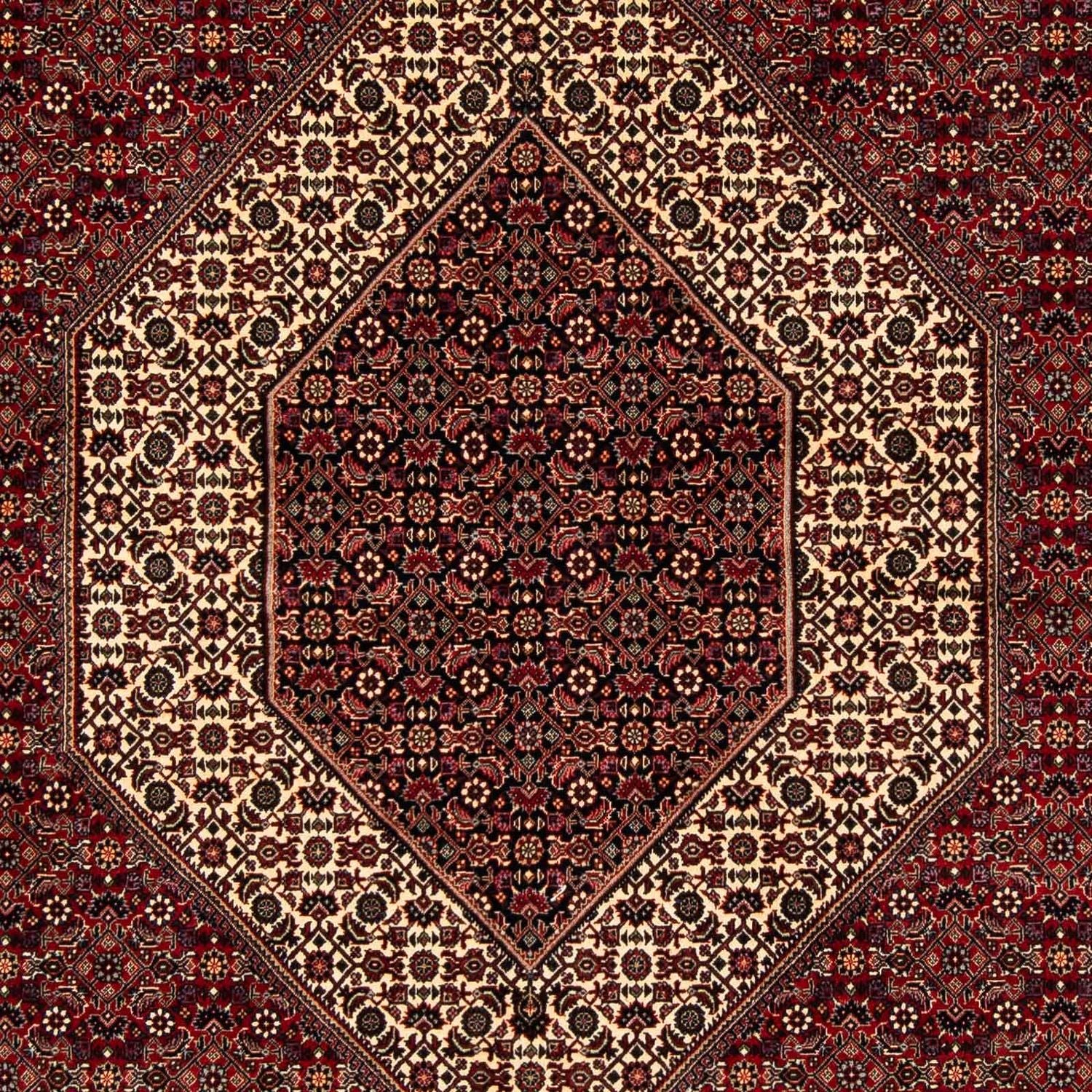 Perserteppich - Bidjar 254 x 205 cm