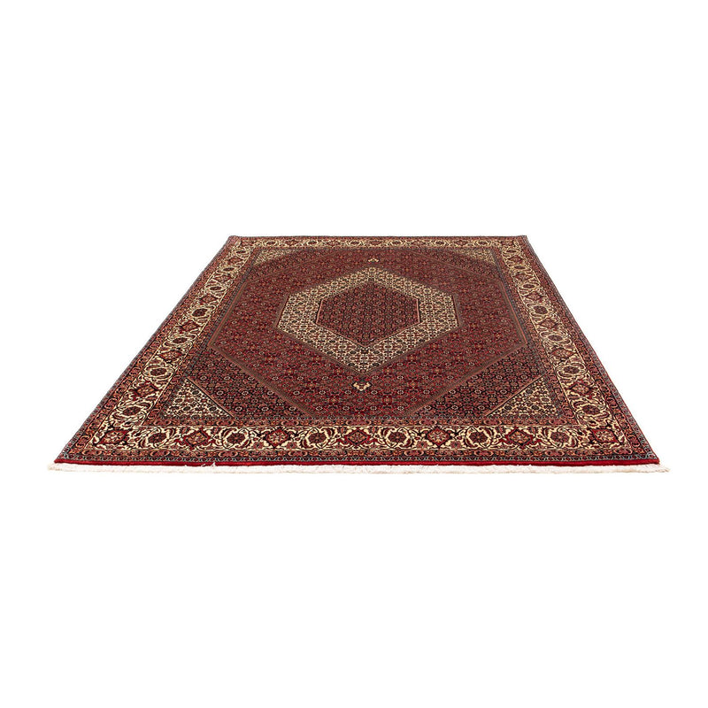 Perserteppich - Bidjar 254 x 205 cm