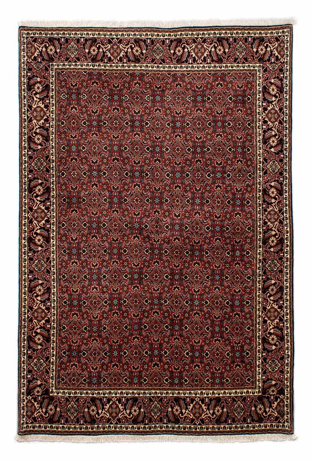 Perserteppich - Bidjar 246 x 172 cm