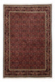 Bidjar Teppich 172x246cm - Perserteppich