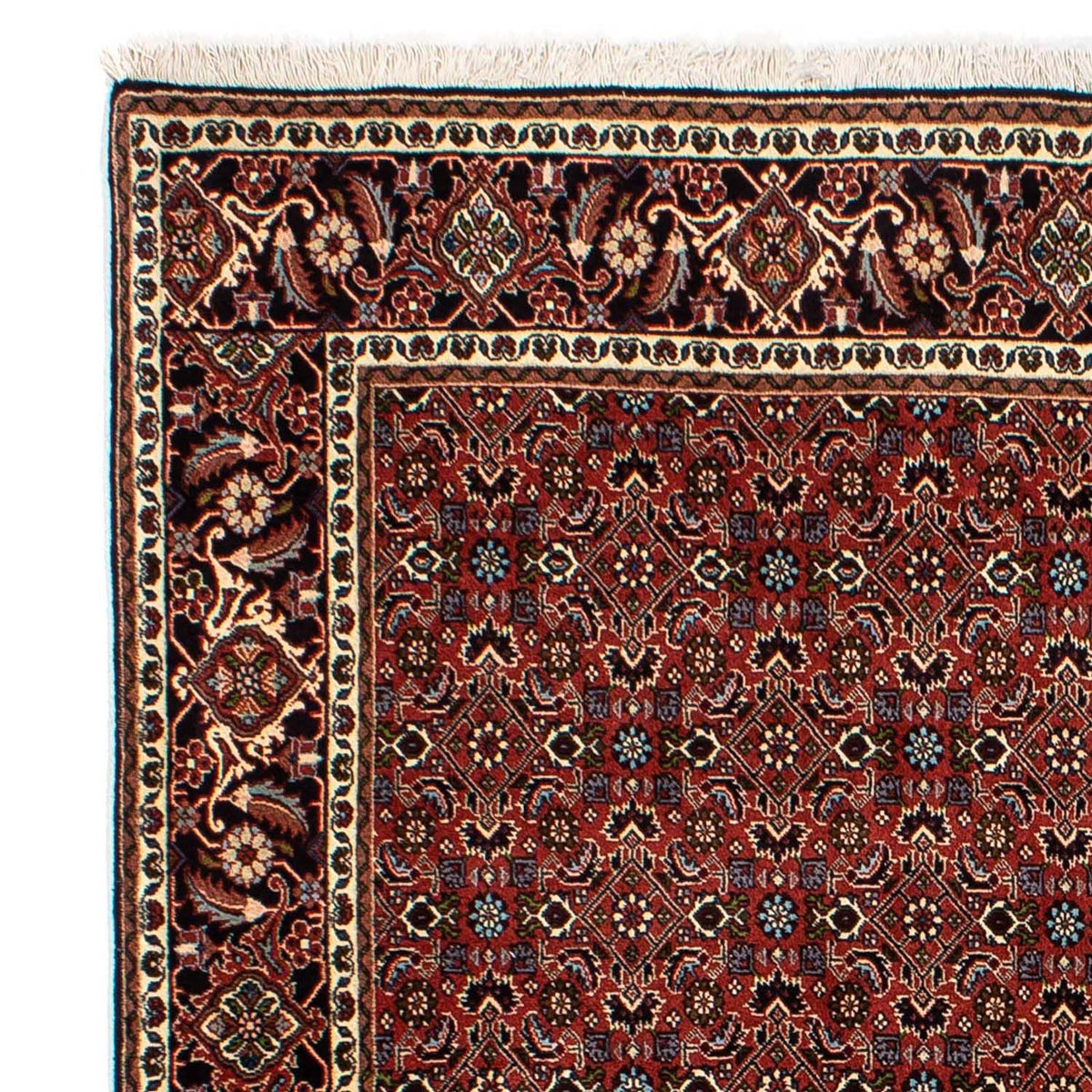 Bidjar Teppich 172x246cm - Perserteppich