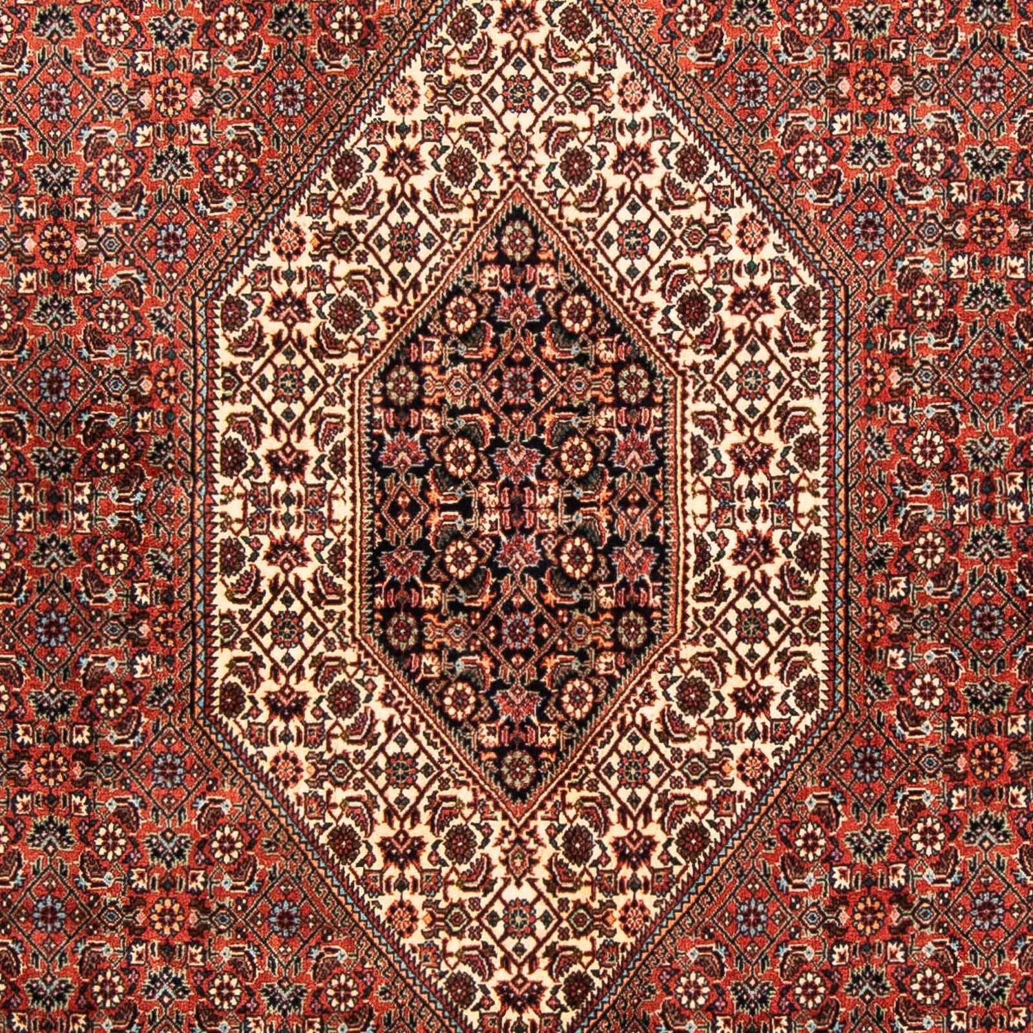 Perserteppich - Bidjar 252 x 150 cm