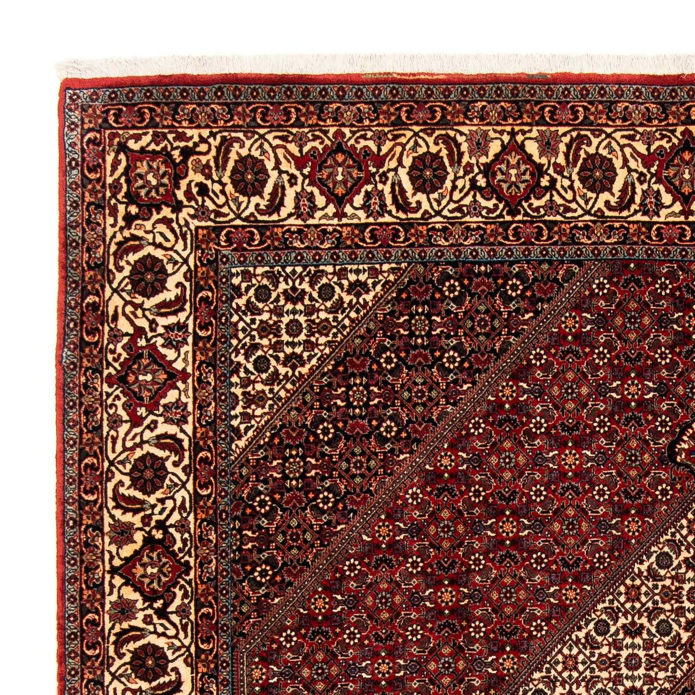 Bidjar Teppich 254x204cm - Perserteppich