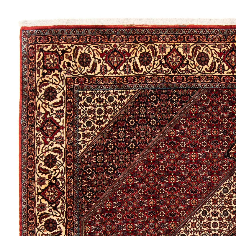 Perserteppich - Bidjar 254 x 204 cm
