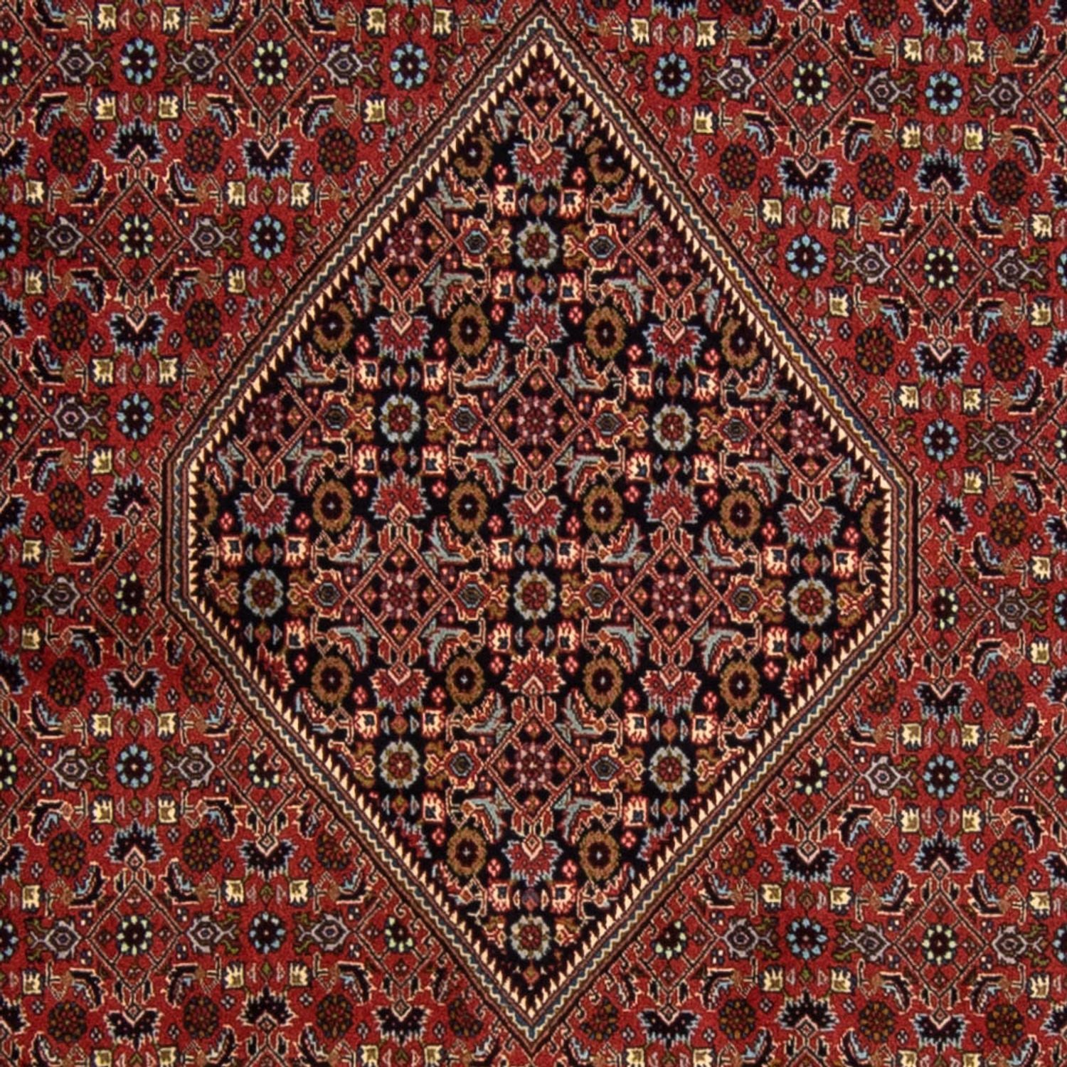 Perserteppich - Bidjar 337 x 250 cm