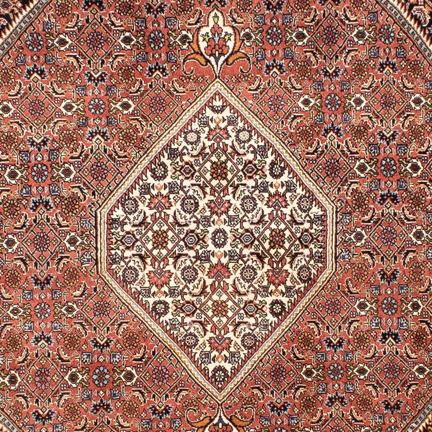 Perserteppich - Bidjar 242 x 165 cm