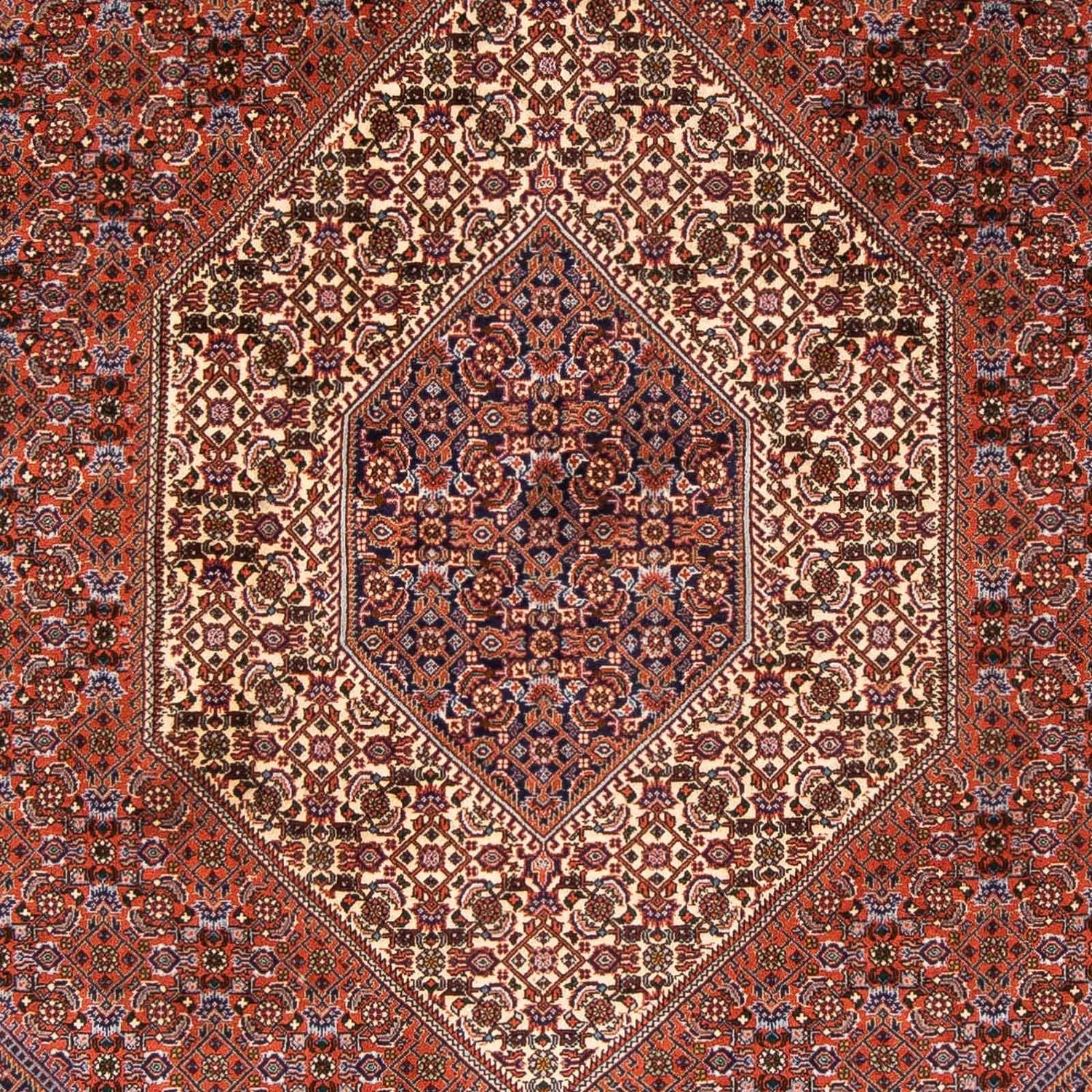 Perserteppich - Bidjar 230 x 166 cm