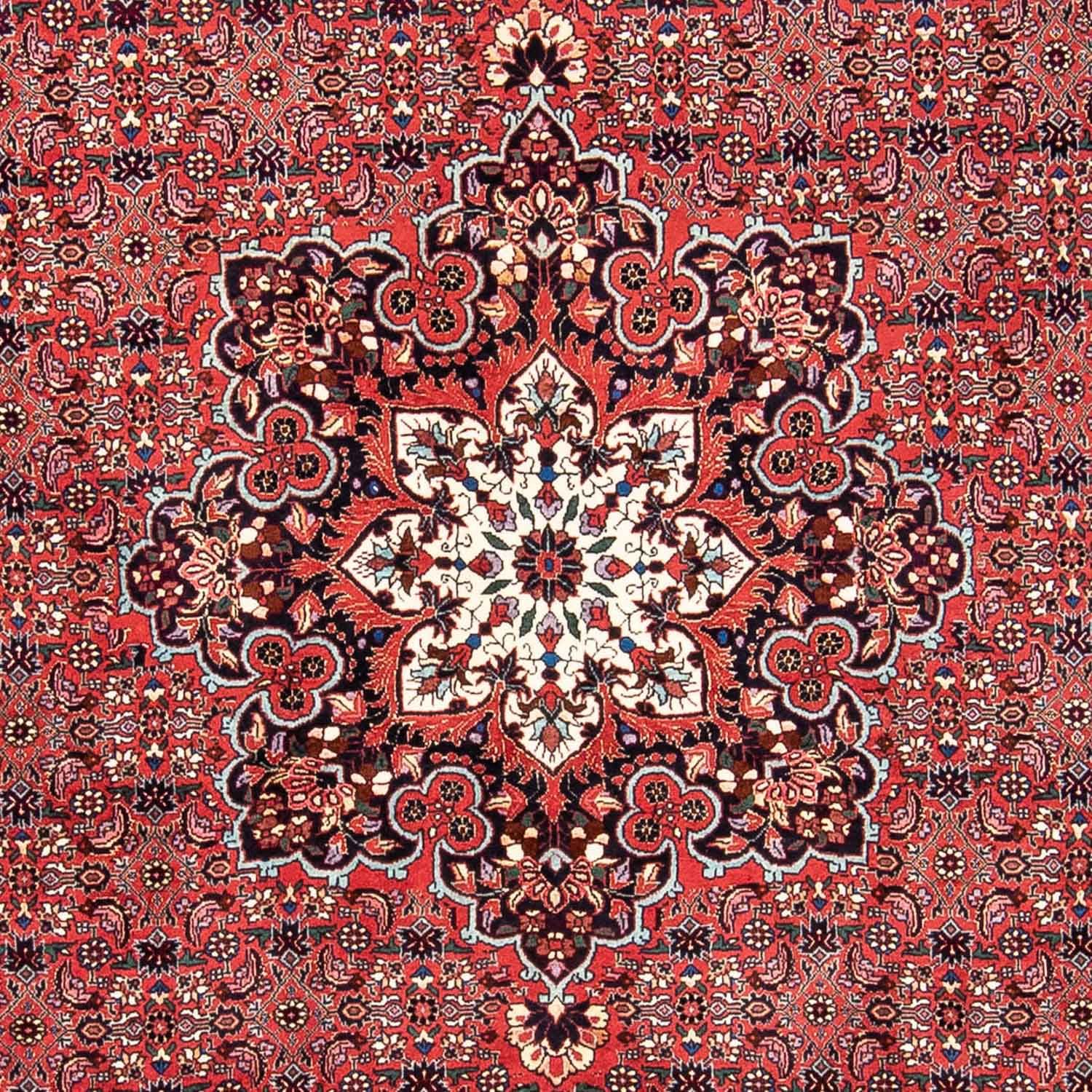 Perserteppich - Bidjar 240 x 170 cm Teppich Wohnzimmer