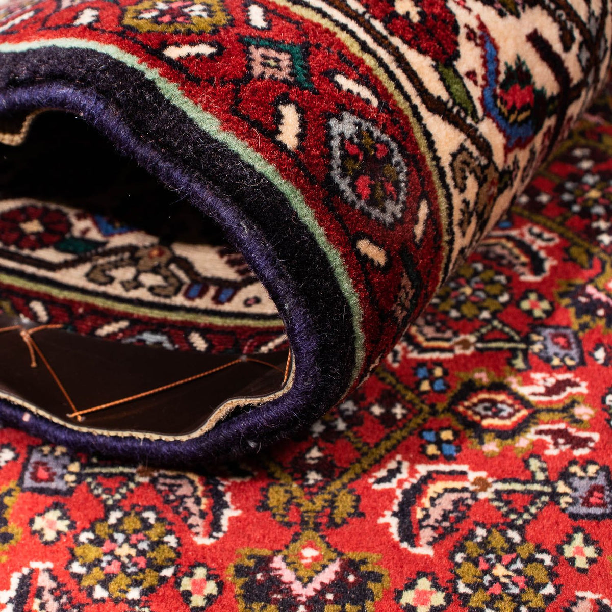 Perserteppich - Bidjar 263 x 164 cm