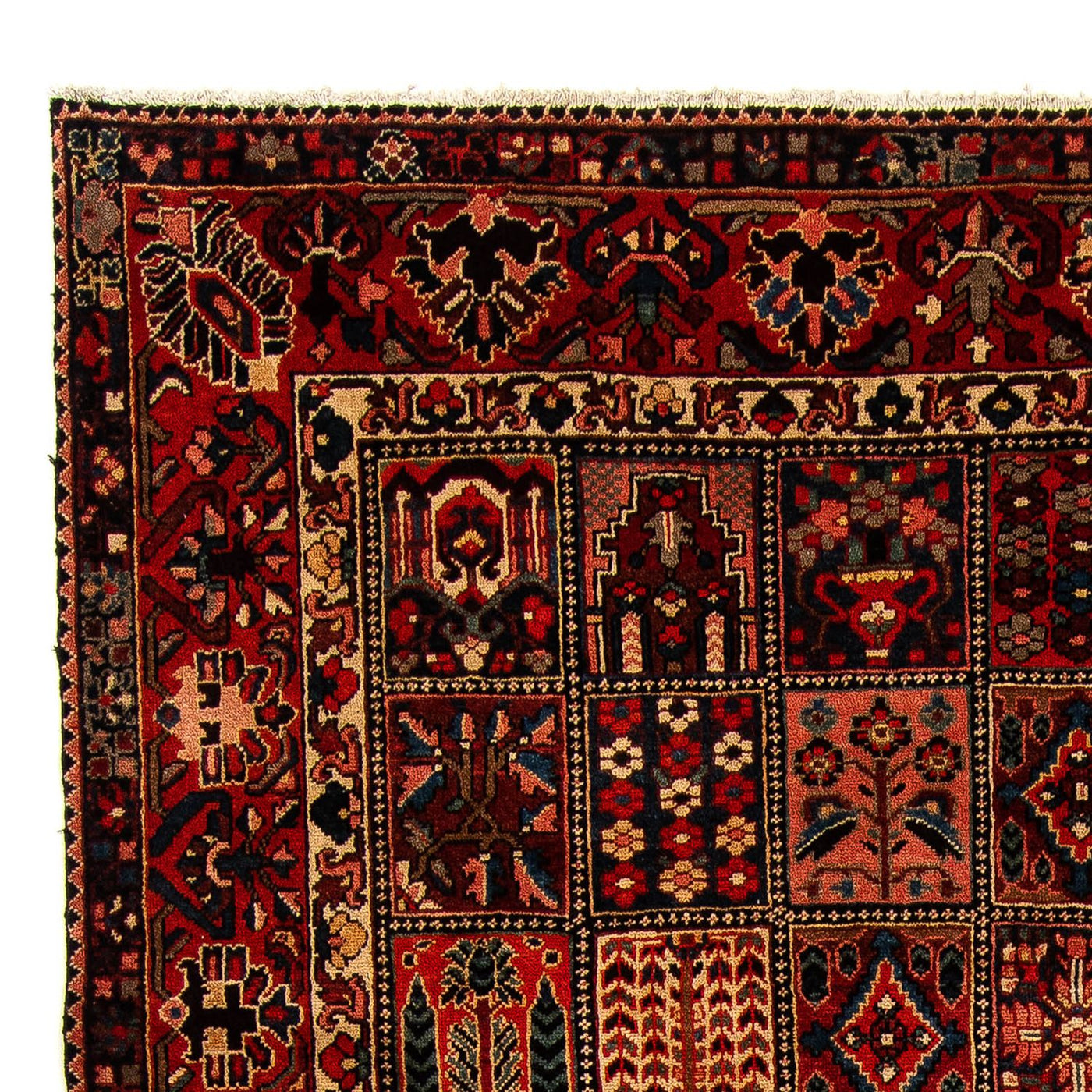Bachtiar Teppich 351x302cm - Perserteppich
