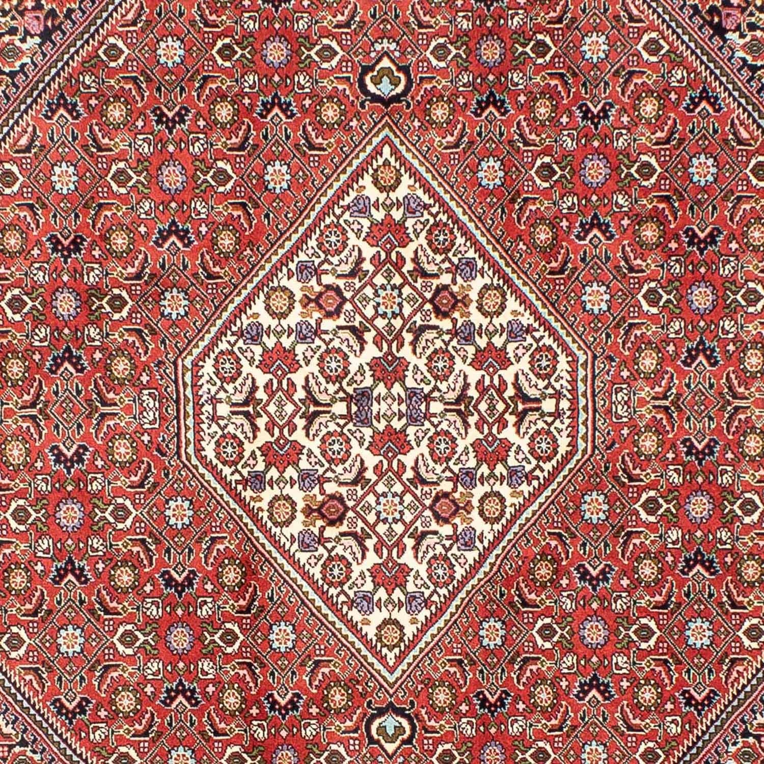 Perserteppich - Bidjar 240 x 173 cm